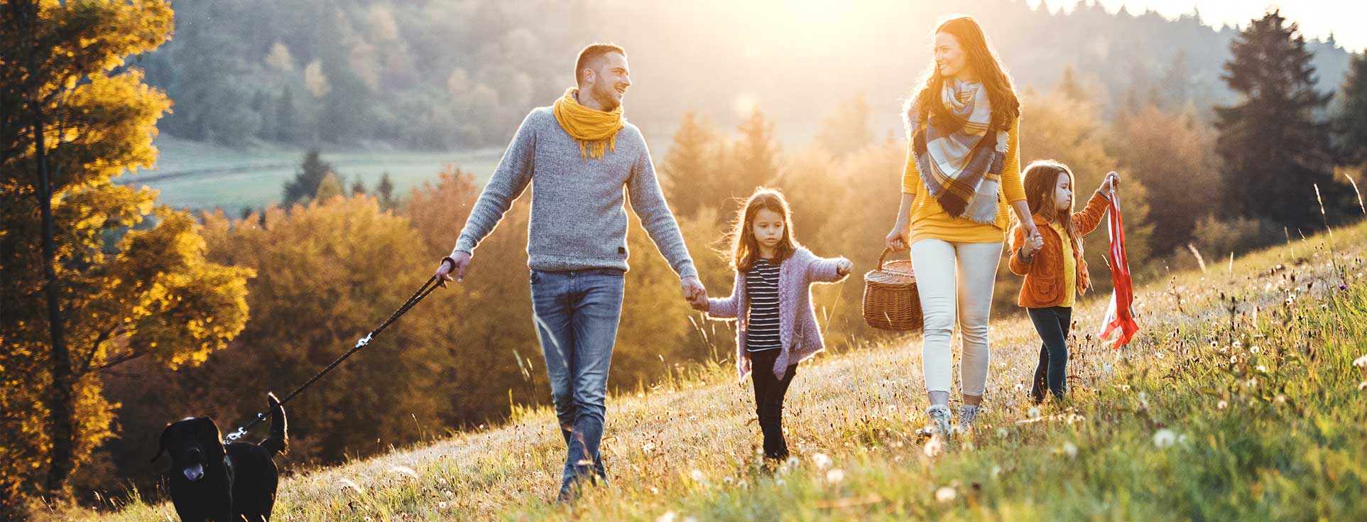 Family walking through sunny field to picnic